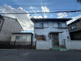 ���n�y�n�ʐ^�@-