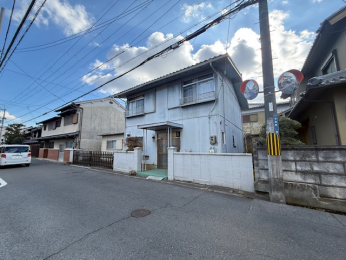 ���n�y�n�ʐ^�@-