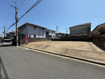 ���n�y�n�ʐ^�@-