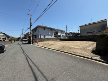 ���n�y�n�ʐ^�@-