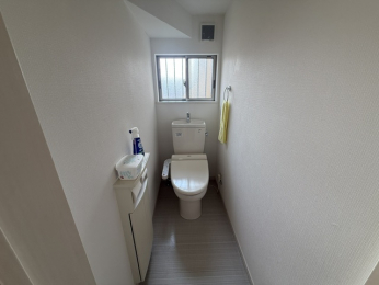 �g�C���@-